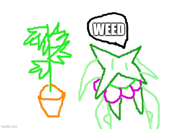 weed (request by doctor sex) | WEED | image tagged in frost,drawing,meowscarada | made w/ Imgflip meme maker
