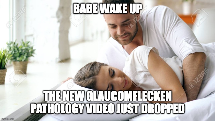 Wake Up Babe | BABE WAKE UP; THE NEW GLAUCOMFLECKEN PATHOLOGY VIDEO JUST DROPPED | image tagged in wake up babe | made w/ Imgflip meme maker