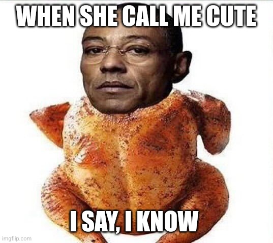 Gustavo Fring | WHEN SHE CALL ME CUTE; I SAY, I KNOW | image tagged in breaking bad | made w/ Imgflip meme maker