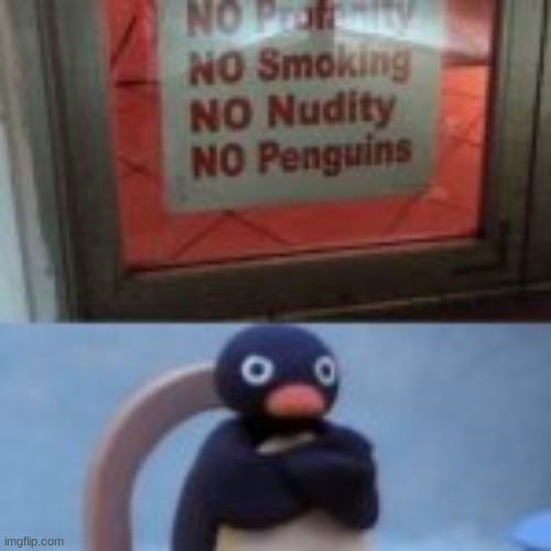 i posted this in the fun stream awhile ago and it was front page | image tagged in memes,funny,memenade,angry penguin | made w/ Imgflip meme maker