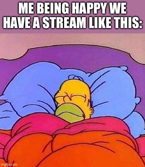 =) | ME BEING HAPPY WE HAVE A STREAM LIKE THIS: | image tagged in homer simpson sleeping peacefully | made w/ Imgflip meme maker
