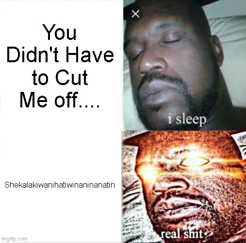 I Used To Know | You Didn't Have to Cut Me off.... Shekalakiwanihatiwinaninanatin | image tagged in memes,sleeping shaq,somebody that i used to know | made w/ Imgflip meme maker