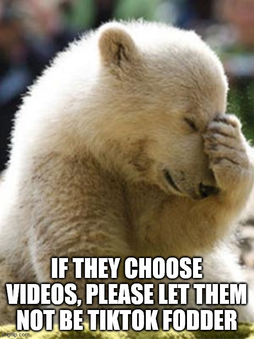Facepalm Bear Meme | IF THEY CHOOSE VIDEOS, PLEASE LET THEM NOT BE TIKTOK FODDER | image tagged in memes,facepalm bear | made w/ Imgflip meme maker
