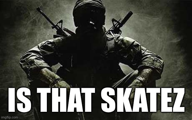Call of Duty Black Ops | IS THAT SKATEZ | image tagged in call of duty black ops | made w/ Imgflip meme maker
