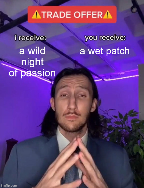 A wild night of passion | a wild night of passion; a wet patch | image tagged in trade offer,wet patch,passion,wild night,oh wow are you actually reading these tags | made w/ Imgflip meme maker