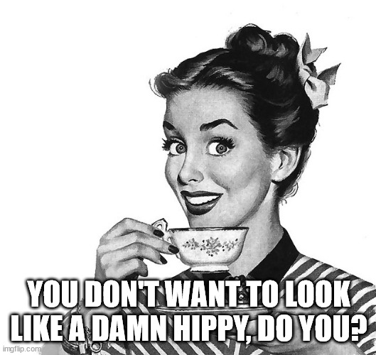 Retro woman teacup | YOU DON'T WANT TO LOOK LIKE A DAMN HIPPY, DO YOU? | image tagged in retro woman teacup | made w/ Imgflip meme maker