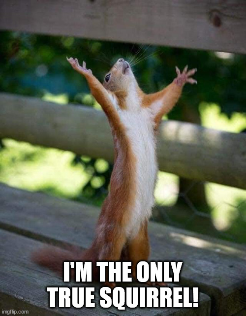 Red Squirrel | I'M THE ONLY TRUE SQUIRREL! | image tagged in red squirrel | made w/ Imgflip meme maker