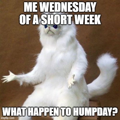 cat poof humpday is gone | ME WEDNESDAY OF A SHORT WEEK; WHAT HAPPEN TO HUMPDAY? | image tagged in cat poof,humpday,wednesday,gone | made w/ Imgflip meme maker