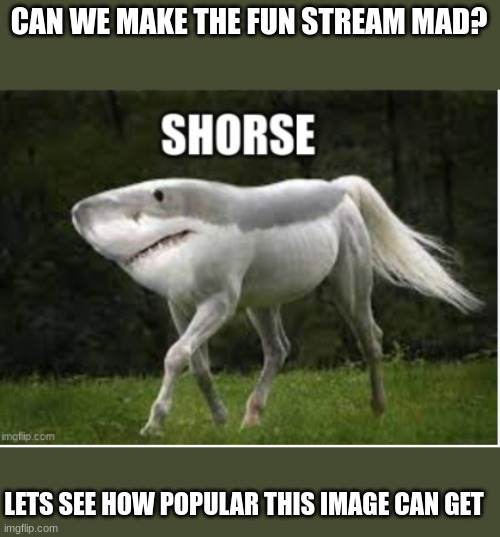 i really want to make the fun stream mad | CAN WE MAKE THE FUN STREAM MAD? LETS SEE HOW POPULAR THIS IMAGE CAN GET | image tagged in shorse,the fun stream is mad | made w/ Imgflip meme maker