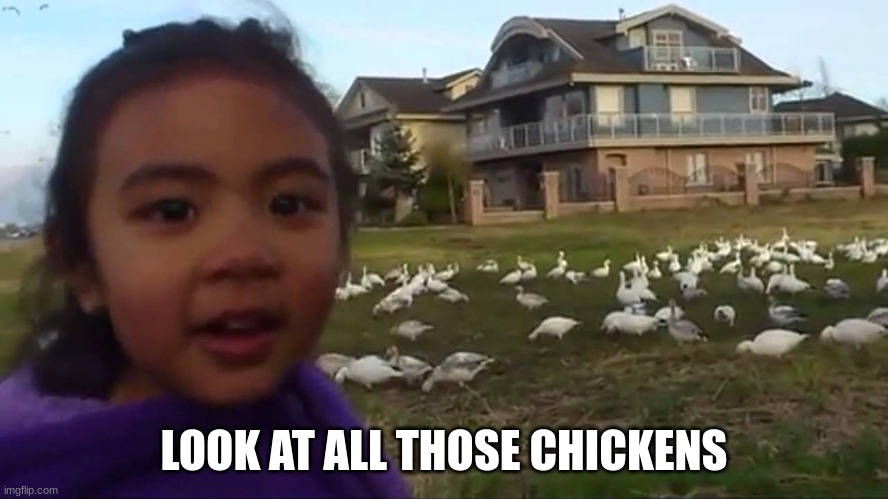 Look at All Those Chickens | LOOK AT ALL THOSE CHICKENS | image tagged in look at all those chickens | made w/ Imgflip meme maker