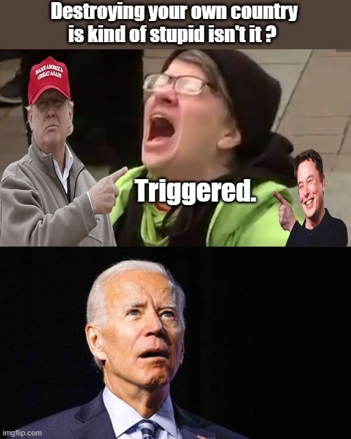 Simple isn't it ? | Destroying your own country is kind of stupid isn't it ? Triggered. | image tagged in screaming liberal,confused joe biden,democrats,rino,nwo police state | made w/ Imgflip meme maker