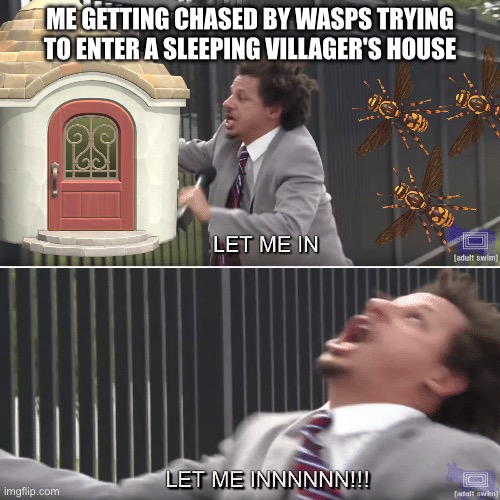 Animal Crossing Meme XD | ME GETTING CHASED BY WASPS TRYING TO ENTER A SLEEPING VILLAGER'S HOUSE | image tagged in eric andre let me in meme | made w/ Imgflip meme maker