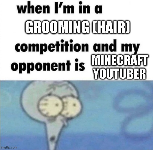 all fun plz no ban | GROOMING (HAIR); MINECRAFT YOUTUBER | image tagged in whe i'm in a competition and my opponent is | made w/ Imgflip meme maker