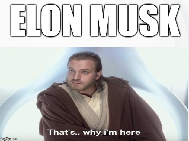 That's Why I'm Here | ELON MUSK | image tagged in that's why i'm here | made w/ Imgflip meme maker