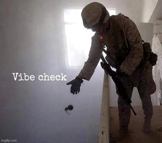 vibe check | image tagged in vibe check | made w/ Imgflip meme maker