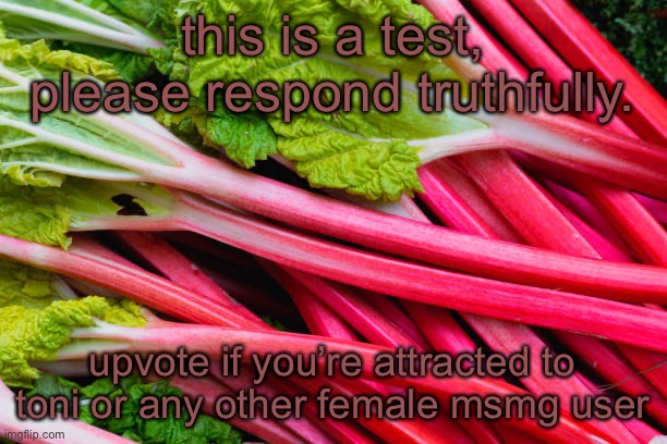 rhubarb | this is a test, please respond truthfully. upvote if you’re attracted to toni or any other female msmg user | image tagged in rhubarb | made w/ Imgflip meme maker