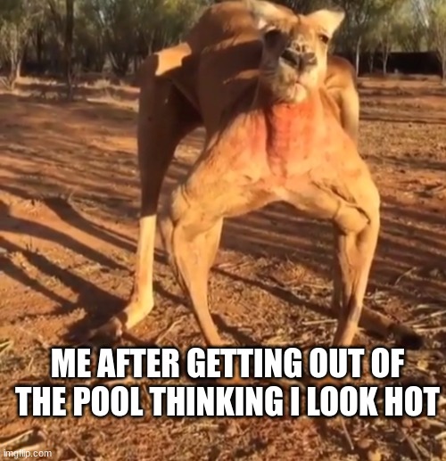 haha funny meme | ME AFTER GETTING OUT OF THE POOL THINKING I LOOK HOT | image tagged in haha funny meme | made w/ Imgflip meme maker