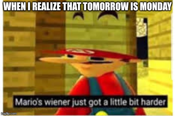 Mario's Wiener | WHEN I REALIZE THAT TOMORROW IS MONDAY | image tagged in mario's wiener | made w/ Imgflip meme maker
