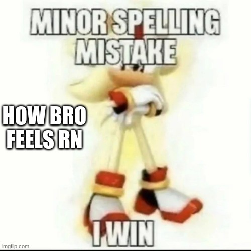 Minor Spelling Mistake | HOW BRO FEELS RN | image tagged in minor spelling mistake | made w/ Imgflip meme maker