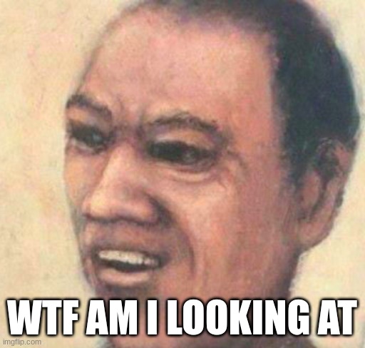 what the hell am I looking at | WTF AM I LOOKING AT | image tagged in what the hell am i looking at | made w/ Imgflip meme maker