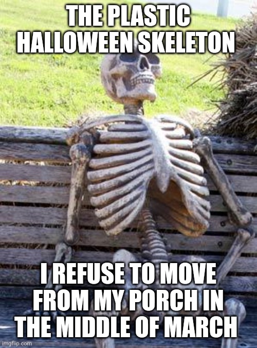 I'm not moving that skeleton | THE PLASTIC HALLOWEEN SKELETON; I REFUSE TO MOVE FROM MY PORCH IN THE MIDDLE OF MARCH | image tagged in memes,waiting skeleton,haloween,jpfan102504 | made w/ Imgflip meme maker