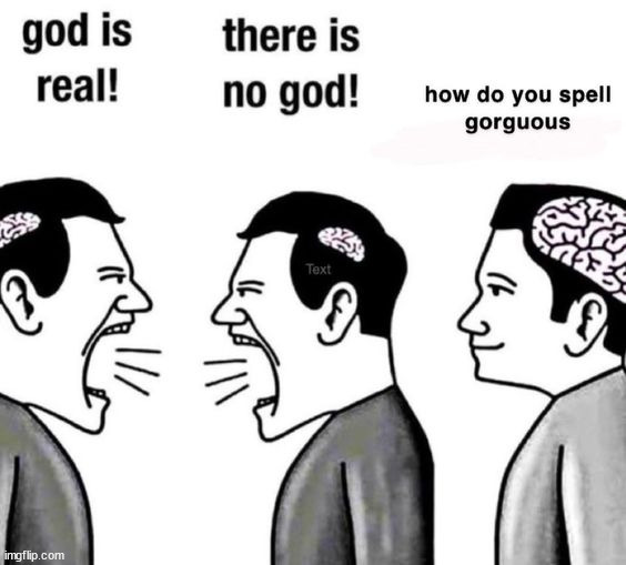 made w/ Imgflip meme maker