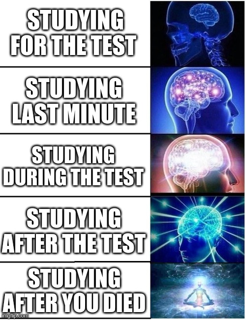 Expanding Brain 5 Panel | STUDYING FOR THE TEST; STUDYING LAST MINUTE; STUDYING DURING THE TEST; STUDYING AFTER THE TEST; STUDYING AFTER YOU DIED | image tagged in expanding brain 5 panel | made w/ Imgflip meme maker