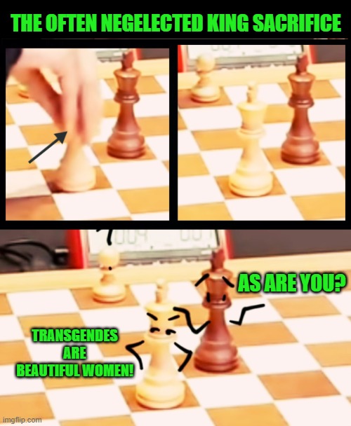 Checkmate | THE OFTEN NEGELECTED KING SACRIFICE; AS ARE YOU? TRANSGENDES ARE BEAUTIFUL WOMEN! | image tagged in transgender,chess | made w/ Imgflip meme maker