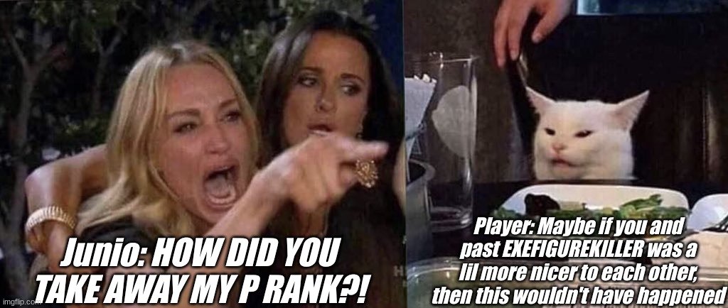 R.I.P P Rank from Pizza Tower | Junio: HOW DID YOU TAKE AWAY MY P RANK?! Player: Maybe if you and past EXEFIGUREKILLER was a lil more nicer to each other, then this wouldn't have happened | image tagged in woman yelling at cat,ssba uc,roblox,multiverse | made w/ Imgflip meme maker