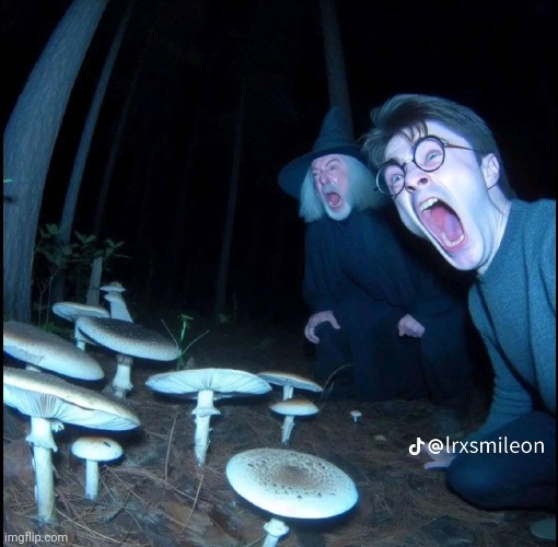 We love casting spells | made w/ Imgflip meme maker