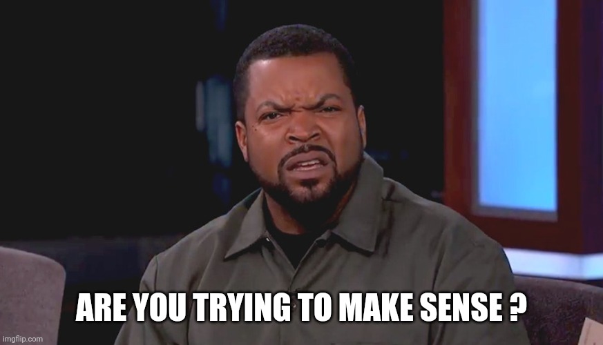 Really? Ice Cube | ARE YOU TRYING TO MAKE SENSE ? | image tagged in really ice cube | made w/ Imgflip meme maker
