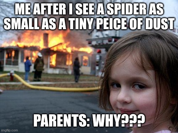 Disaster Girl Meme | ME AFTER I SEE A SPIDER AS SMALL AS A TINY PEICE OF DUST; PARENTS: WHY??? | image tagged in memes,disaster girl | made w/ Imgflip meme maker
