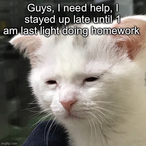 Plz help | Guys, I need help, I stayed up late until 1 am last light doing homework | image tagged in i'm awake but at what cost | made w/ Imgflip meme maker