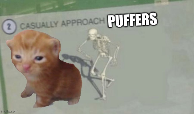 thats not puffers btw | PUFFERS | image tagged in casually approach child | made w/ Imgflip meme maker