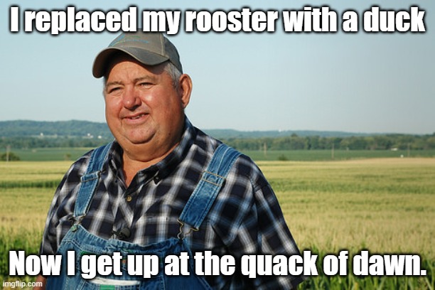 It Ain't much But It's Honest Work | I replaced my rooster with a duck; Now I get up at the quack of dawn. | image tagged in it ain't much but it's honest work,bad puns,bad jokes,dad jokes,ducks,rooster | made w/ Imgflip meme maker