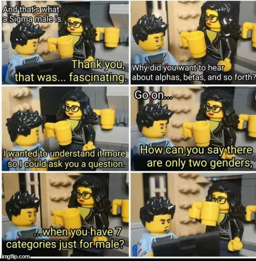 as found on the interenets | image tagged in gender,gender identity,alpha,beta,sigma male | made w/ Imgflip meme maker