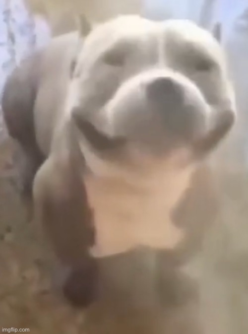 Mood | made w/ Imgflip meme maker