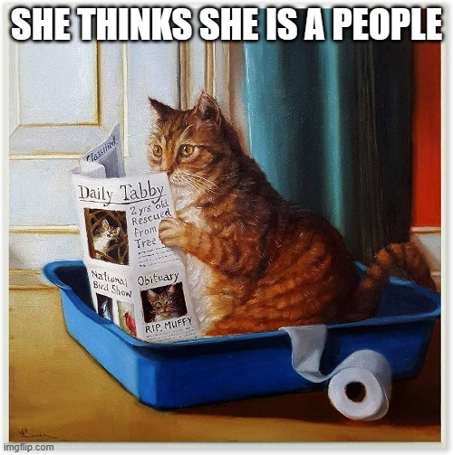 memes  by Brad My cat thinks it is a human humor | SHE THINKS SHE IS A PEOPLE | image tagged in cats,funny,funny cat memes,toilet humor,humor,funny cat | made w/ Imgflip meme maker