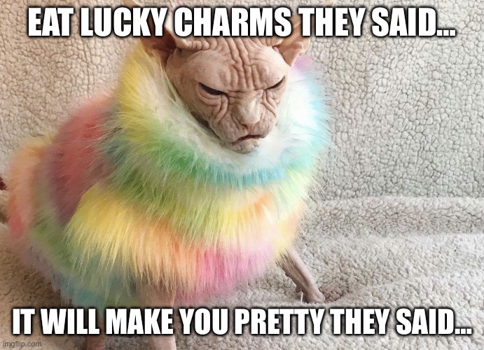Lucky charms cat | EAT LUCKY CHARMS THEY SAID…; IT WILL MAKE YOU PRETTY THEY SAID… | image tagged in lucky charms cat,cat,funny,fun,lol | made w/ Imgflip meme maker