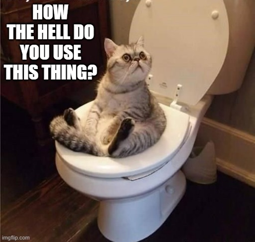 meme by Brad cat using a toilet | HOW THE HELL DO YOU USE THIS THING? | image tagged in cats,funny,funny cat memes,humor,toilet humor,funny cat | made w/ Imgflip meme maker