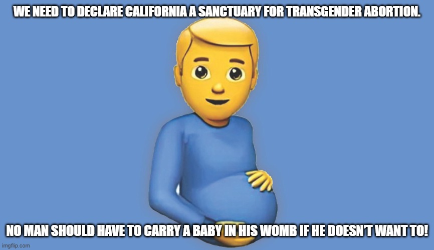 we need to declare California a sanctuary for transgender abortion. No man should have to carry a baby in his womb if he doesn’t | WE NEED TO DECLARE CALIFORNIA A SANCTUARY FOR TRANSGENDER ABORTION. NO MAN SHOULD HAVE TO CARRY A BABY IN HIS WOMB IF HE DOESN’T WANT TO! | image tagged in abortion,california,trans | made w/ Imgflip meme maker