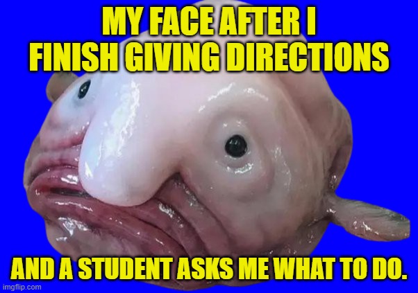 Teacher's life | MY FACE AFTER I FINISH GIVING DIRECTIONS; AND A STUDENT ASKS ME WHAT TO DO. | image tagged in blob fish | made w/ Imgflip meme maker