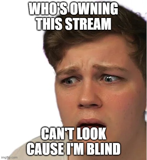 aeonair confused | WHO'S OWNING THIS STREAM; CAN'T LOOK CAUSE I'M BLIND | image tagged in aeonair confused | made w/ Imgflip meme maker