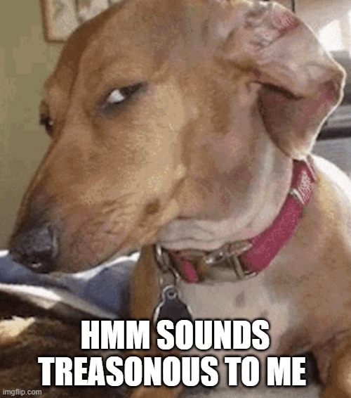 Side eye dog | HMM SOUNDS TREASONOUS TO ME | image tagged in side eye dog | made w/ Imgflip meme maker