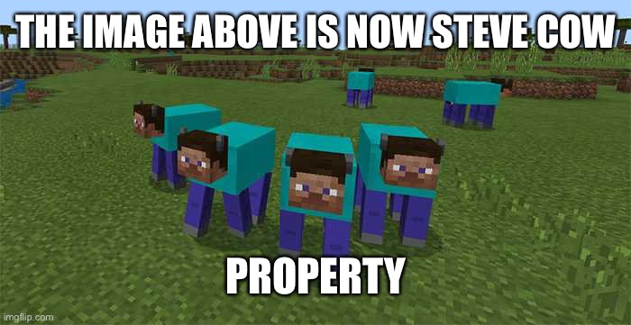 Mine | THE IMAGE ABOVE IS NOW STEVE COW; PROPERTY | image tagged in me and the boys | made w/ Imgflip meme maker
