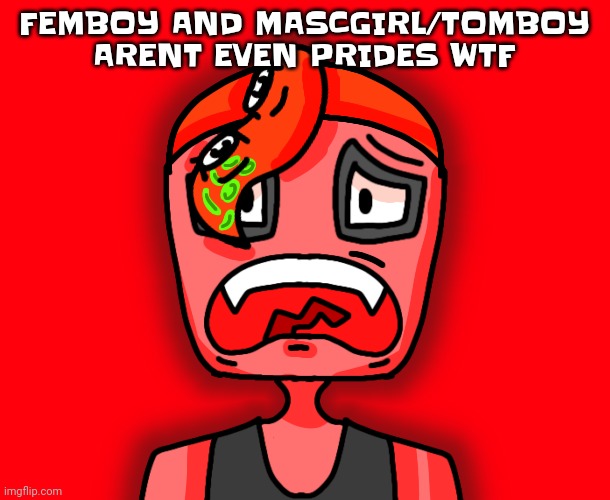 As a tomboy (mascgirl lite) wtf | FEMBOY AND MASCGIRL/TOMBOY ARENT EVEN PRIDES WTF | image tagged in octollie disturbed | made w/ Imgflip meme maker
