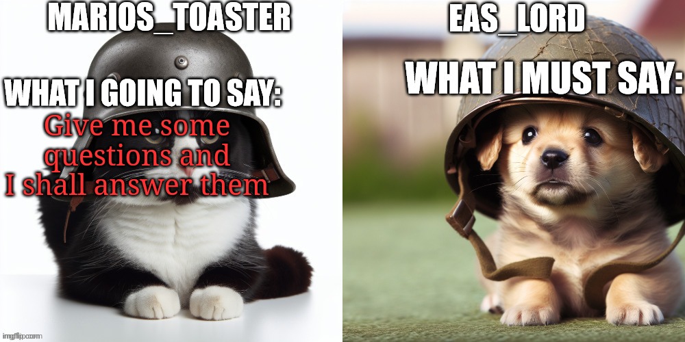 Also no ip stuff | Give me some questions and I shall answer them | image tagged in eas_lord and marios_toaster | made w/ Imgflip meme maker