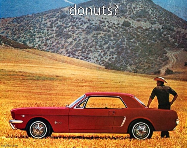 ford mustang | donuts? | image tagged in ford mustang | made w/ Imgflip meme maker