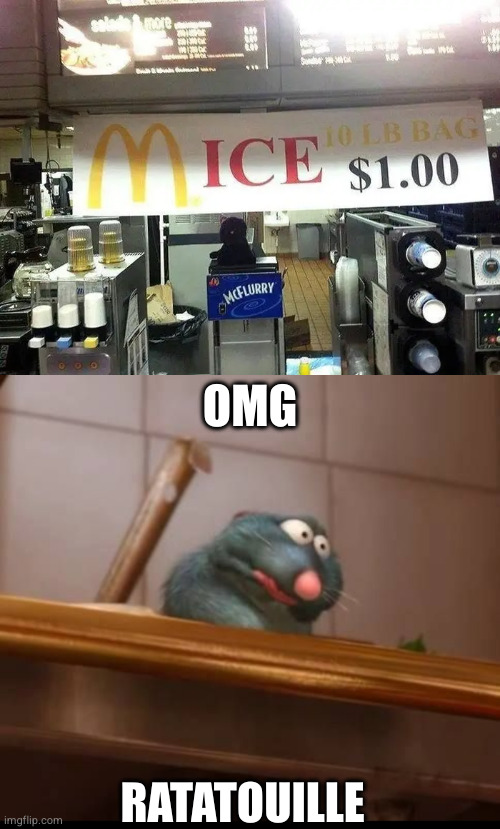 Hell nah | OMG; RATATOUILLE | image tagged in you had one job,fun,funny,ratatouille | made w/ Imgflip meme maker