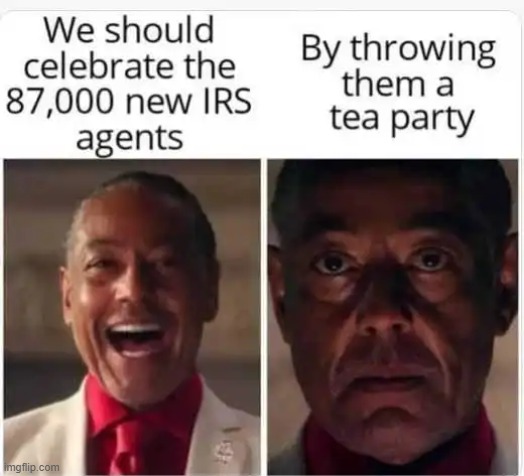 LOL! | image tagged in irs agents,party hard,party time,lol,boston tea party,funny | made w/ Imgflip meme maker